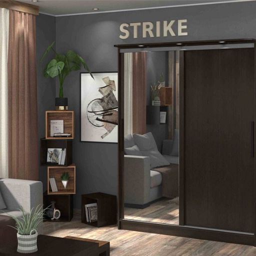 Шкаф-купе «Strike»